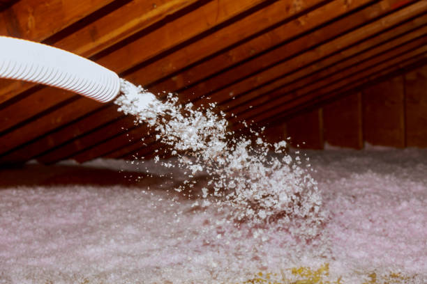 Best Attic Insulation Installation  in Arlington, GA